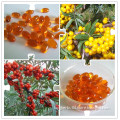 100% Natural and High Quality Pure Sea Buckthorn Seed Oil